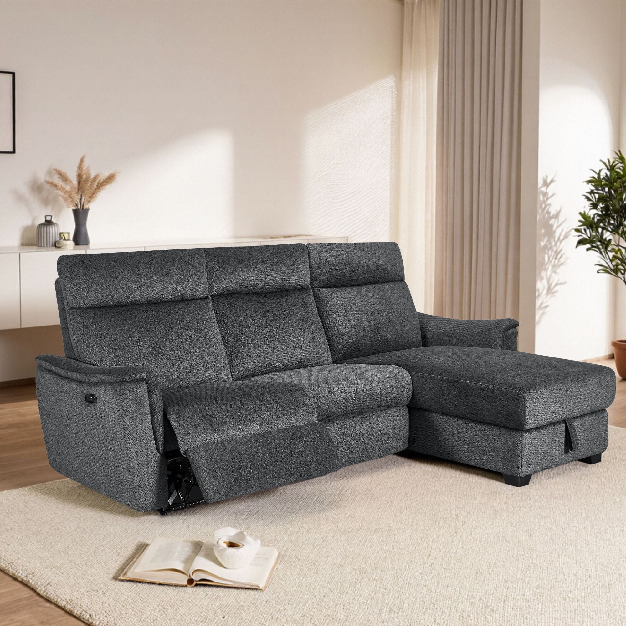 Storage Sectional DG